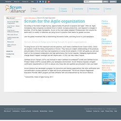 What Is Scrum?