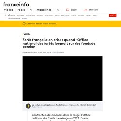Forêt française en crise : quand l’Office national des forêts lorgnait sur des fonds de pension