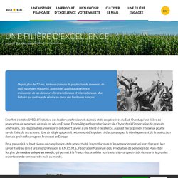 La filière française de production de semences de maïs, ses missions - FNPSMS - Maize in France