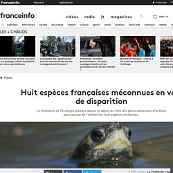Huit espèces françaises méconnues en voie de disparition