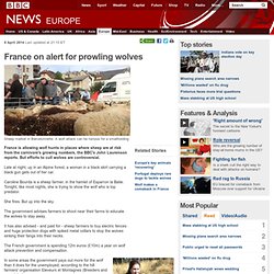 France on alert for prowling wolves