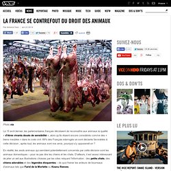 La France se contrefout du droit des animaux