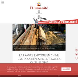 L HUMANITE 07/02/18 La France exporte en Chine 25% des chênes bicentenaires qu’elle abat