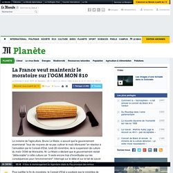 La France veut maintenir le moratoire sur l'OGM MON 810