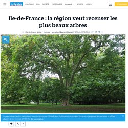 Ile-de-France : la région veut recenser les plus beaux arbres - 13/04/18