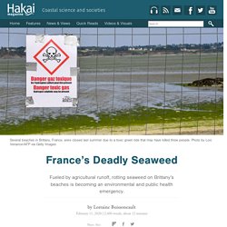 France’s Deadly Seaweed