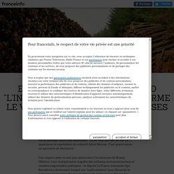 ENQUETE FRANCEINFO. Quand "l'industrialisation" transforme le visage des forêts françaises