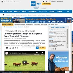 Franch beef, a tate of terroir marque export du bœuf de France