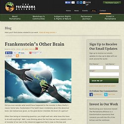 Frankenstein’s Other Brain