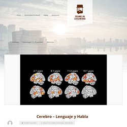 Franklin Susanibar – Cerebro – Lenguaje y Habla
