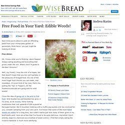 Free Food in Your Yard: Edible Weeds!