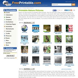 Free Printable Nature Pictures - FreePrintable.com