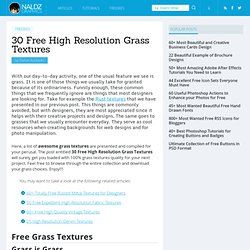 30 Free High Resolution Grass Textures