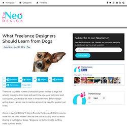 What Freelance Designers Should Learn from Dogs