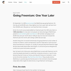 Going Freemium: One Year Later