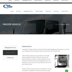 Dubai Freezer Truck Rental Services