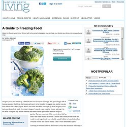 A Guide to Freezing Food