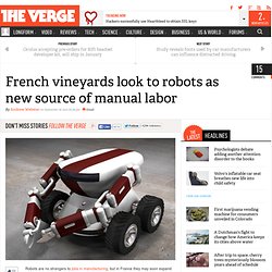 French vineyards look to robots as new source of manual labor
