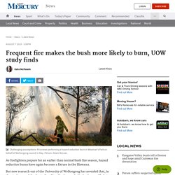 Frequent fire makes the bush more likely to burn, UOW study finds