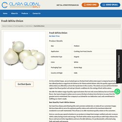 Fresh White Onion Export Company