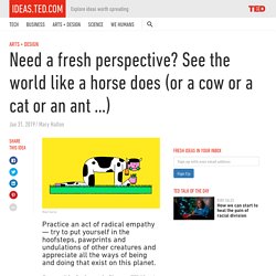 Need a fresh perspective? See the world like a horse, dog or cat