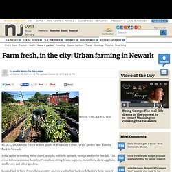Farm fresh, in the city: Urban farming in Newark