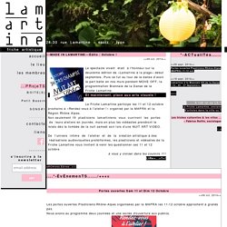 Friche Lamartine - Lyon 3