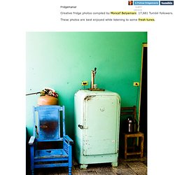 Fridgemania: the most creative fridge photos in the world.