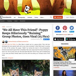 'We All Have This Friend': Puppy Keeps Hilariously "Ruining" Group Photos, Goes Viral (15 Pics)