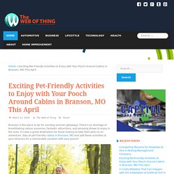 Pet-Friendly Activities and Cabins in Branson, MO this Summer