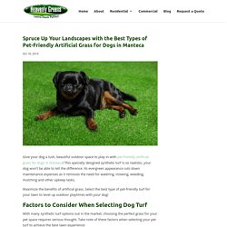Best Types of Pet-Friendly Artificial Grass for Dogs in Manteca