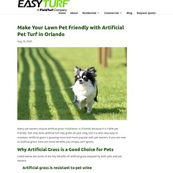Make Your Lawn Pet Friendly with The Help of Artificial Pet Turf in Orlando