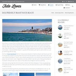 Dog Friendly Beach With or Without Sand, Brant Rock