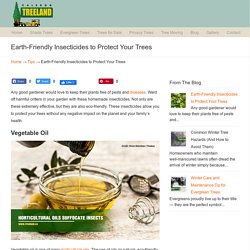 Earth-Friendly Insecticides to Protect Your Trees