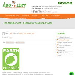 Eco-Friendly Ways to Dispose of Your Dog's Waste