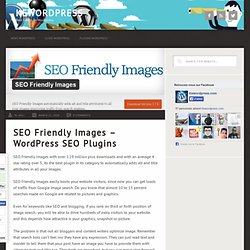 SEO Friendly Images - WordPress SEO Plugins