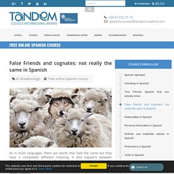 False Friends and cognates, Spanish lesson - TANDEM Madrid