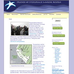Visit « Friends of Fitzgerald Marine Reserve