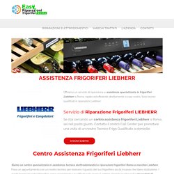 Assistenza Frigoriferi Liebherr