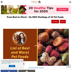 From Best to Worst - My NEW Rankings of 13 Pet Foods