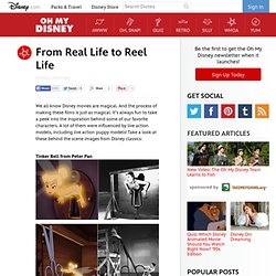 From Real Life to Reel Life