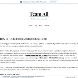 How to Get Rid from Small Business Debt? – Team Ali