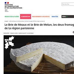 MAA 04/01/21 Le Brie de Meaux et le Brie de Melun, les deux fromages AOP de la région parisienne