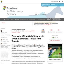 FRONT. VET. SCI. 26/05/21 Zoonotic Rickettsia Species in Small Ruminant Ticks From Tunisia