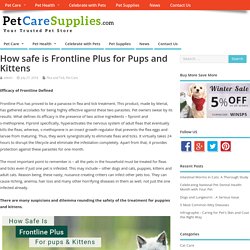 Can I use Frontline Plus for Puppies and Kitten? - PetCareSupplies