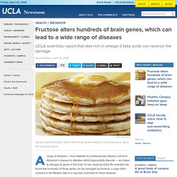 Fructose alters hundreds of brain genes, which can lead to a wide range of diseases