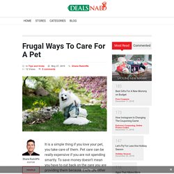 Frugal Ways To Care For A Pet