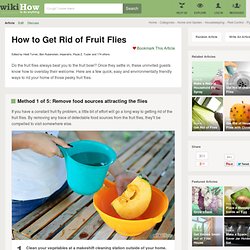 Six Methods to Get Rid of Fruit Flies (with pictures)