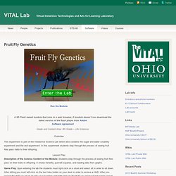 Fruit Fly Genetics