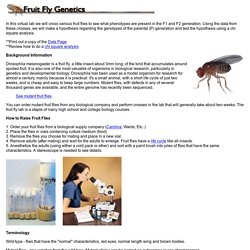 Fruit Fly Tutorial Index